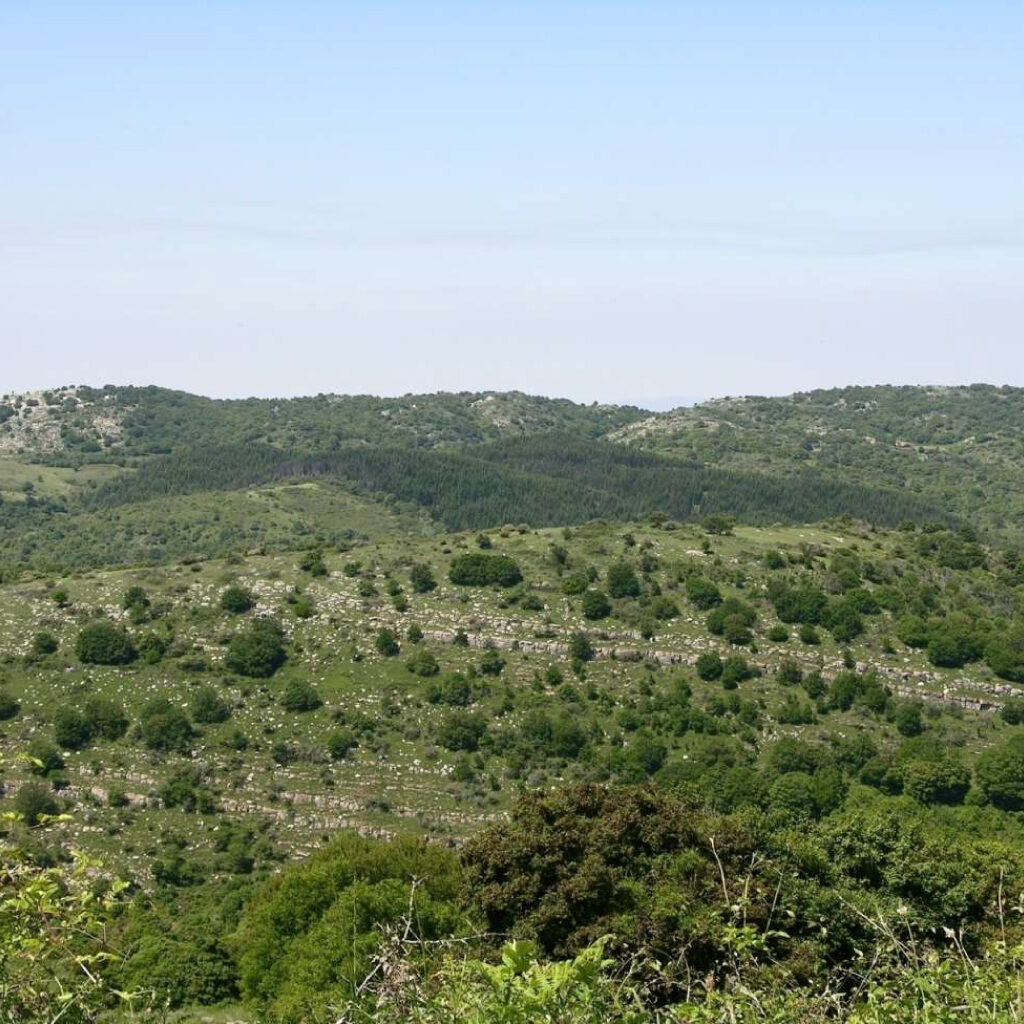 Riserva Naturale del Monte Labbro